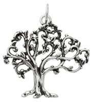 Charm Giovanni Raspini Charms in Argento 09911 - 09911
